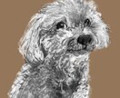 ペット(犬)のイラストを作成します わんちゃんの魅力たっぷりなイラストを描きます。 イメージ2