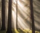 AI画像作ります!リアルな画像を生成します Stable Diffusionでオリジナルの画像生成 イメージ4