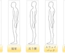 特別価格！写真2枚で姿勢診断＆改善提案します 誰にでもわかりやすく現役ピラティスインストラクターが診断。 イメージ4