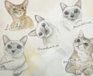 水彩画でうちのこ（ペット）の似顔絵を作成します 温かい手描き水彩で思い出を残そう✳︎プレゼントにも✳︎ イメージ3
