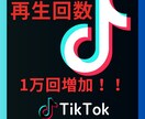 TikTok再生数を増やして注目度アップます 初心者も安心！自然で安全な拡散支援 イメージ1