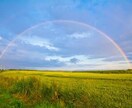 誰かと話したい、愚痴、悩み、何でも聞きます 。今すぐ話がしたい、どんな事でも大丈夫です。 イメージ6