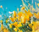 下限価格！写真をオシャレな水彩画風に加工いたします 文字入れOK！ナチュラルな水彩イラスト風にお写真を加工します イメージ3