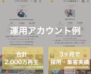 あなたのTikTokをプロが忖度0でコンサルします オンラインで1時間、質問し放題！企画・編集・改善提案など イメージ2