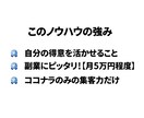 ココナラでプラチナランクまでにやった事を教えます 副業で月に約5万円ほど目指したい方へオススメです イメージ3