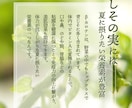 ECに特化した「売れる商品画像」を制作します 各種モール対応、ショップのブランド感も統一して売り上げUP イメージ9