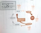 髪を習慣だけで全力で蘇らせます 髪は大切な体の一部です。髪の悩みを解消し充実した人生へ！ イメージ5