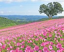 なんでも話聞きます 恋愛、仕事、人生相談悩んでる方へ イメージ1