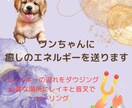 遠隔ヒーリングで愛犬と飼い主様の心身を癒します レイキと音叉のヒーリングで愛犬の状態を整える癒しの時間 イメージ2