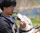 お試しプラン: 伴走型コンサルを行います 起業家とフリーランスの駆け込み寺 イメージ1