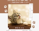 猫instagramの投稿や広告画像制作します ねこに特化！イメージに寄り添い丁寧にデザイン制作いたします！ イメージ8