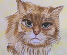 ご希望のモチーフを何でも色鉛筆で描きます 写真とは一味違う貴方だけのオーダメイドの一点物です イメージ10