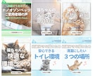 初心者大歓迎！応援されるSNS運用丸投げできます Instagram/Xを活用してクラファンを伸ばしましょう イメージ3