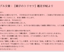限定価格★不登校・特性児｜親子のトリセツ作ります 【先着2名様限定：モニター価格実施中】 イメージ2