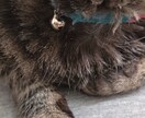 私が実践したメンタルの向上方法をお伝えします 私が鬱、不眠症、適応障害の経験則より。 イメージ1