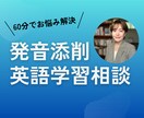 英語学習アドバイスと発音添削を行います 目標に合った学習法と発音アドバイス/60分 イメージ1