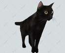 写真から可愛いリアルなペット似顔絵を描きます 可愛いペットのSNSアイコンやオリジナルグッズ制作に！ イメージ5