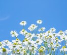 人生経験を重ねた今だからわかる話があります 雑談、愚痴、悩み相談なんでもありの30分✨LINE感覚で！ イメージ7