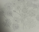 鉛筆でご依頼されたお花の絵を描きます 素人の模写作品です。本気で描かせていただきます。 イメージ8