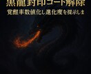 潜在能力を顕在化させる黒龍強化セッションします 覚醒率上昇強化　魂の封印コードを黒龍波動解除し進化率数値化 イメージ5
