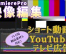 3〜10分の動画を丁寧に仕上げます 中尺動画編集・テロップBGM調整 イメージ1