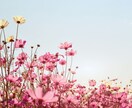 人に振りまわされて損ばかり★いい人の護身術教えます テキスト＆ワンポイントアドバイス✨️自分の身は自分で守ろう！ イメージ6