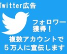 Twitterのフォロワーが増えるように宣伝します フォローはほぼ日本人のアクティブアカウントです イメージ1