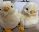 妊娠・出産・育児の不安や悩みや愚痴なんでも聞きます ちょっとした些細な事から、気軽に悩みやお話を聞かせてください イメージ2