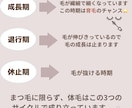 男女OK!まつ毛のデザイン＆目元のケア伝授します まつ毛や目元ケアで自信をつけて美意識あげちゃおう！ イメージ3
