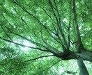秘密厳守❇︎✴︎どうされましたか？お話お聞きします 安心してお悩み・愚痴・自慢なんでも話して下さいね♫ イメージ9