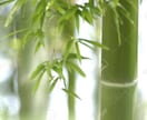 占いの帝王『四柱推命』であなたの運命を占います ご存じですか？ご自身の特徴や性格　～あなたの取説ご案内～ イメージ1