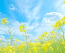 心の悩みに寄り添い親身に聞きます どんな貴方でも良いんです。無理に良い人にならなくても良い。 イメージ1