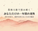 紫微斗数で一年間の運勢を詳しく鑑定します 運気を知るだけで終わらせない、一年設計鑑定 イメージ1