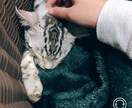 今、誰かと話したいを叶えます お気軽にご連絡ください*ଘ(੭*ˊᵕˋ)੭* ੈ✩‧₊˚ イメージ2