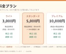 商品紹介文・SNS投稿文を作成します 売れる？ではなく「伝わる」商品紹介文の作成！ イメージ4