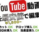 期間限定で最安値で動画編集いたします 【最安値】¥1,500〜!!期間限定でYouTube動画編集 イメージ1