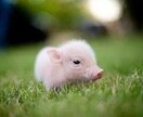 5分だけでも☆お話聞きます 些細な事、他人に言いにくい事、たった5分からでもOKです！ イメージ1