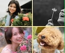 お話を聞かせて下さい！気持ちがスッキリします 人に思いを伝える事でネガティブ思考から脱出できます！ イメージ5