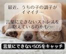 ペットの不調とストレスを調整します 言葉にできないSOSをキャッチ、心と身体のバランスを整えます イメージ1
