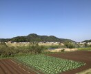 身体の不調　心の悩み　元看護師が何でも聴きます きっと心も身体も軽くなります！ イメージ1