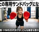 あなたの「専用サンドバッグ」になります 気遣い不要！あなたの「専用サンドバッグ」になります イメージ1