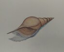オリジナルイラスト、ロゴデザイン、静物画描きます イラスト、ロゴデザイン、緻密なボールペン画等、安価で承ります イメージ2