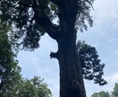 人間関係に困ってる方少しでも安心できるようにします 心の声を表に出すと気持ちは和らぎます。 イメージ1