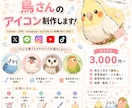 鳥専門 うちの子鳥アイコン制作します インコ・オカメインコ・文鳥・さまざまな鳥さんに対応！ イメージ4