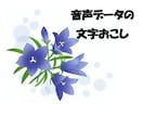 音声データ、会議議事録などの文字おこしいたします 現役医療クラークが議事録作成のお手伝い！ イメージ1