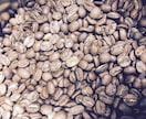 あなたにぴったりな【コーヒー豆・器具】選びます ○コーヒーインストラクター1級○珈琲ライフをサポート！ イメージ1