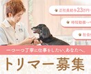 思わずクリック！YouTubeサムネイル作成します 魅せる伝わる目に留まる！YouTubeのサムネイル作ります☆ イメージ5