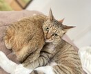 気軽にお話しできたらいいなと思ってます 呑気になんも考えずに話せる友達感覚で出来たらとおもってます！ イメージ3