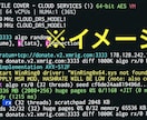 PCに働いてもらう為の設定をお手伝いします マイニングノード報酬が獲得可能な銘柄、設定方法をお伝えします イメージ3