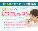 トレーナー歴14年！オンラインでしつけ教室します 愛犬に優しく、飼い主様が再現しやすい方法をご提案します イメージ1